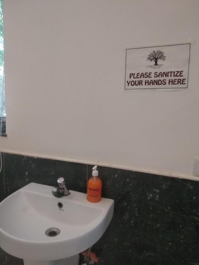 Peepal Tree Residency Near Max Hospital Saket Bed & Breakfast New Delhi Bagian luar foto