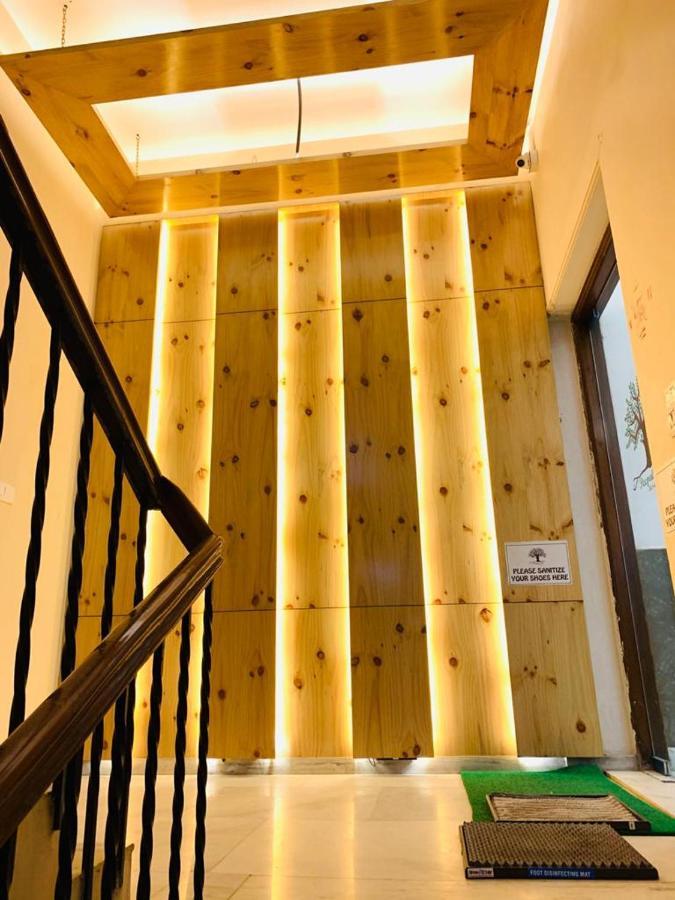 Peepal Tree Residency Near Max Hospital Saket Bed & Breakfast New Delhi Bagian luar foto