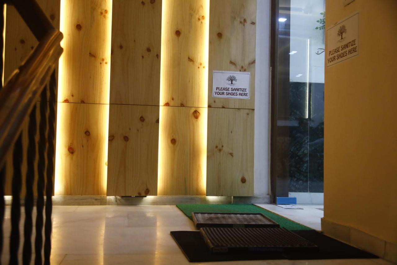 Peepal Tree Residency Near Max Hospital Saket Bed & Breakfast New Delhi Bagian luar foto