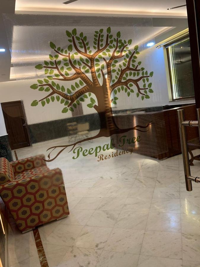 Peepal Tree Residency Bed & Breakfast New Delhi Bagian luar foto